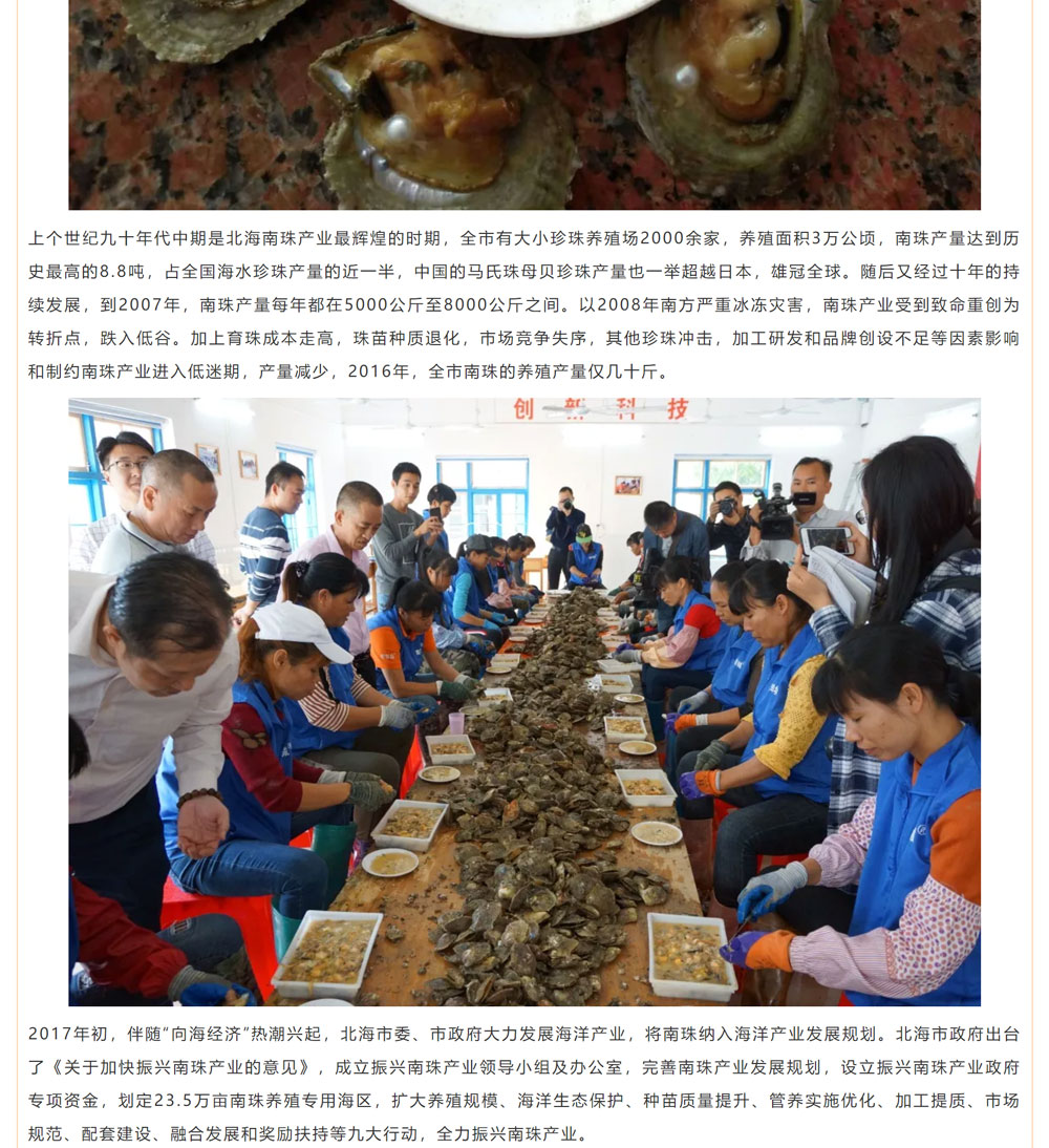 古老南珠，綻放異彩