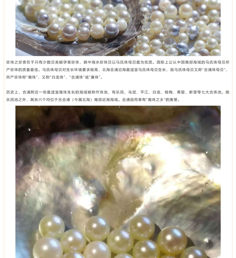 古老南珠，綻放異彩