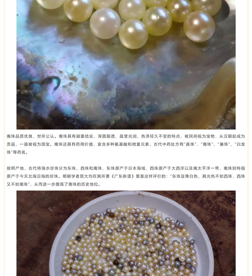 古老南珠，綻放異彩
