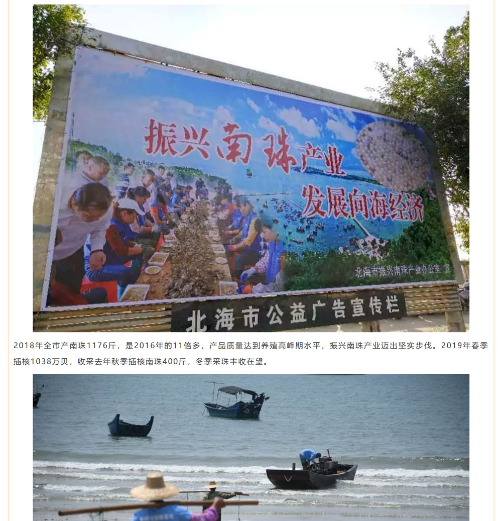 古老南珠，綻放異彩